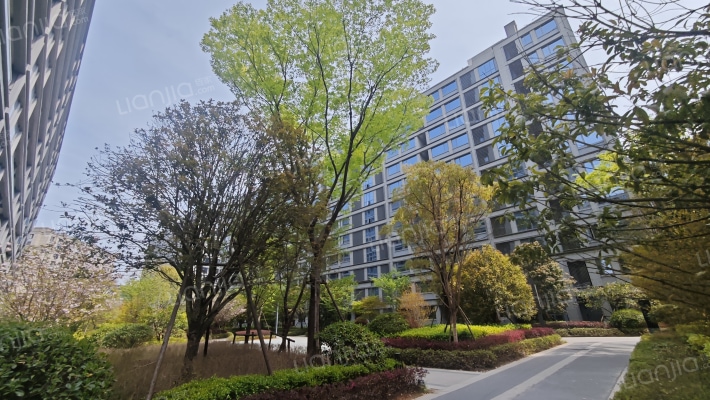 祥生云境外景图