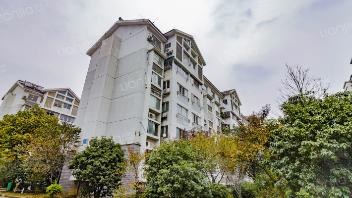 凤凰家园丹凤苑外景图