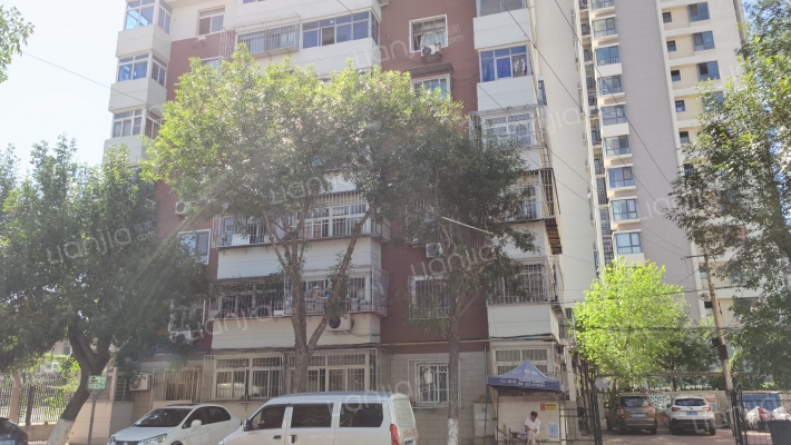 向阳北支路外景图