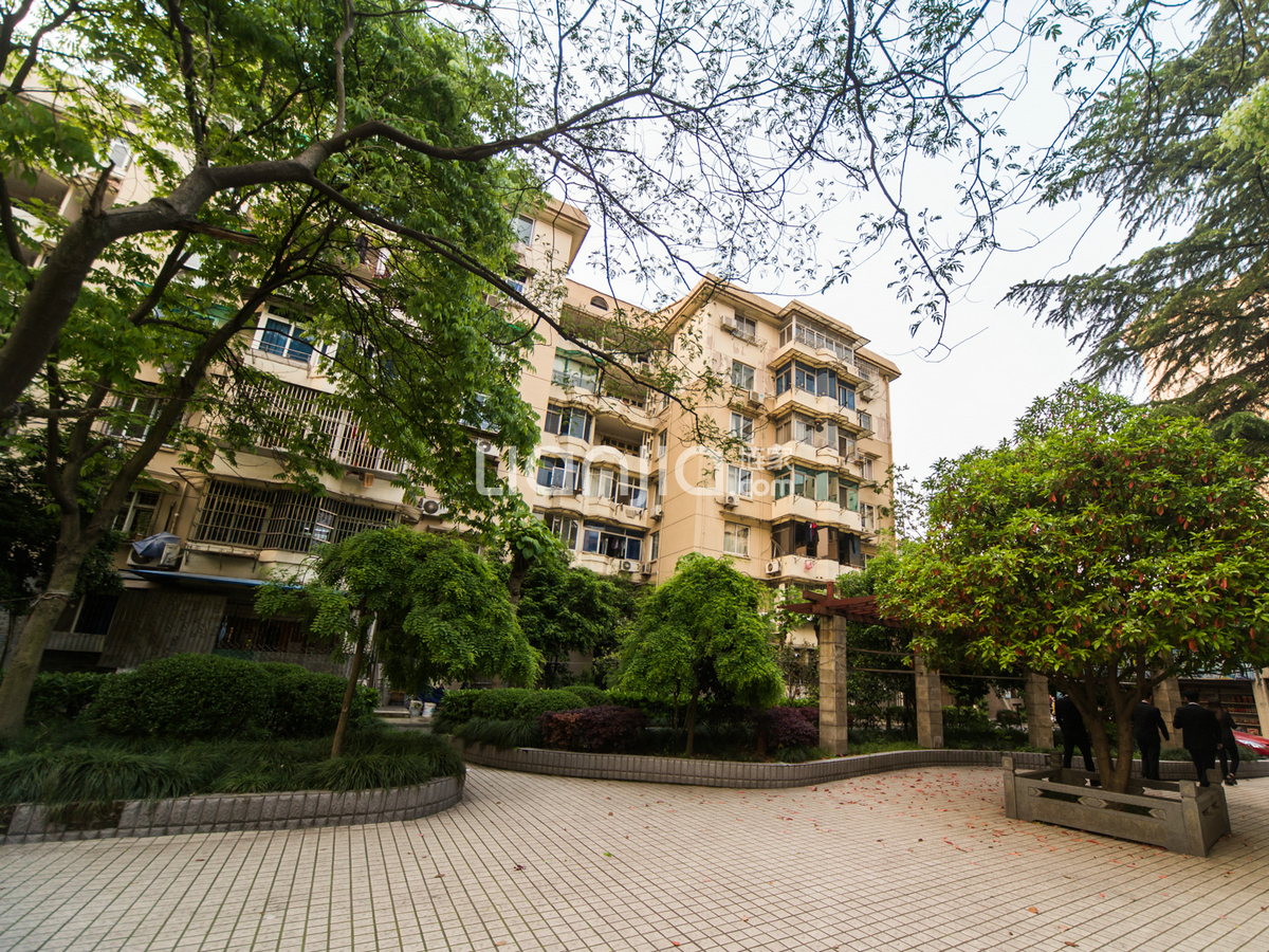 古荡新村东区小区实景 12