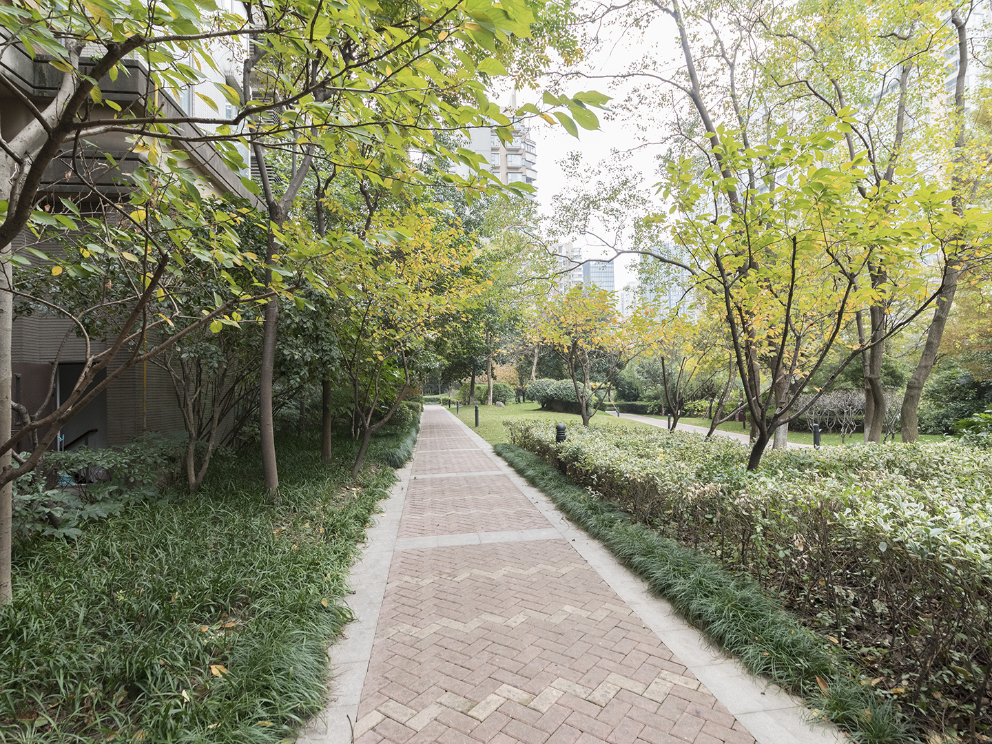 逸天广场小区实景 17