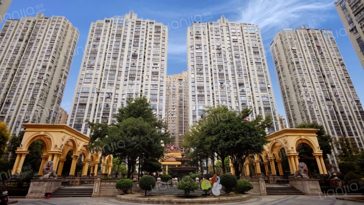 龙宾新界外景图