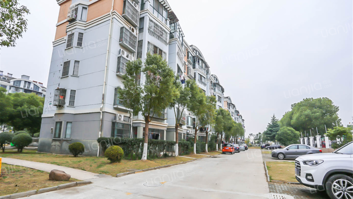 春堤展艺苑外景图