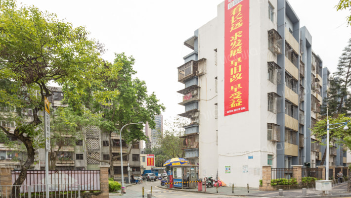 桥东新村东区外景图