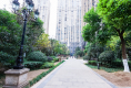 积玉桥万达SOHO户型图实景图