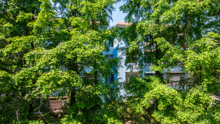 东河路641号外景图