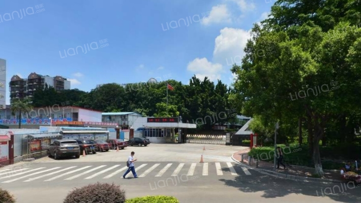 广州开发区外国语学校宿舍外景图