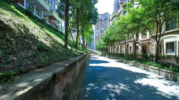 枫丹圣堤亚纳外景图