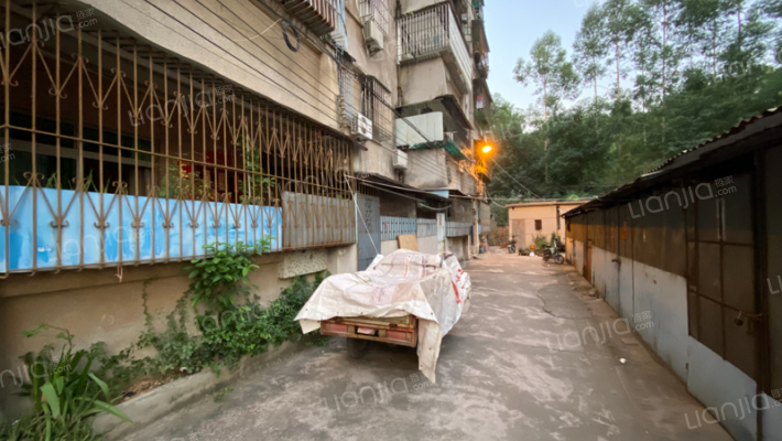 荷美街121号外景图