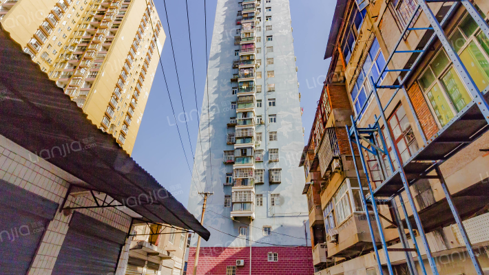 城南明珠外景图