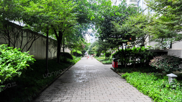 一品天下236号外景图