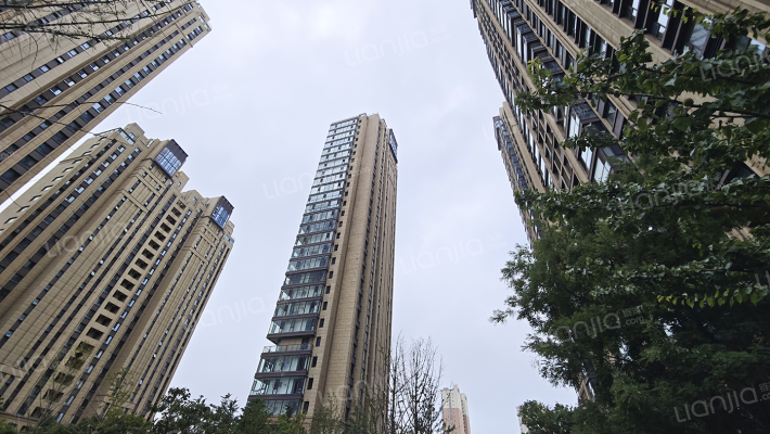 蓝光黑钻公馆外景图