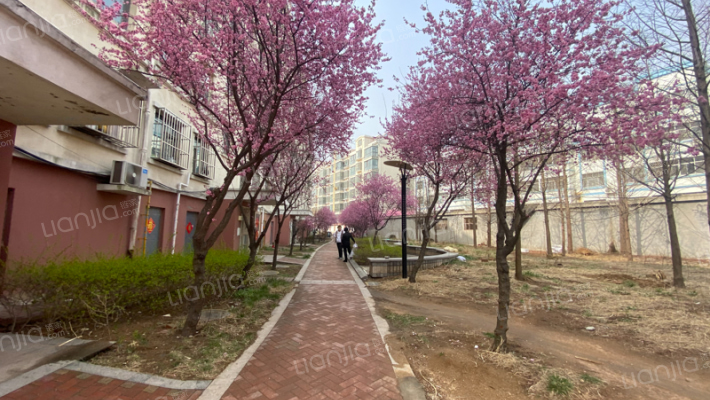 德海苑南区外景图