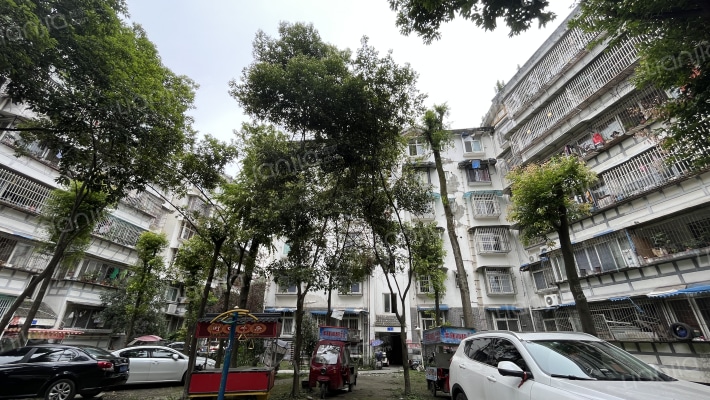 水乡人家外景图