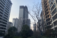 学林春晓户型图实景图