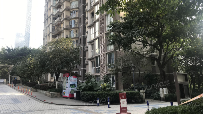 金桥北岸外景图