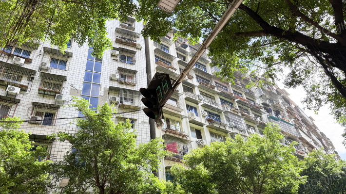 国本路198号外景图