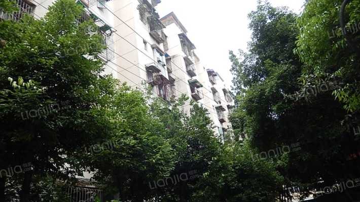 祥和里56号外景图