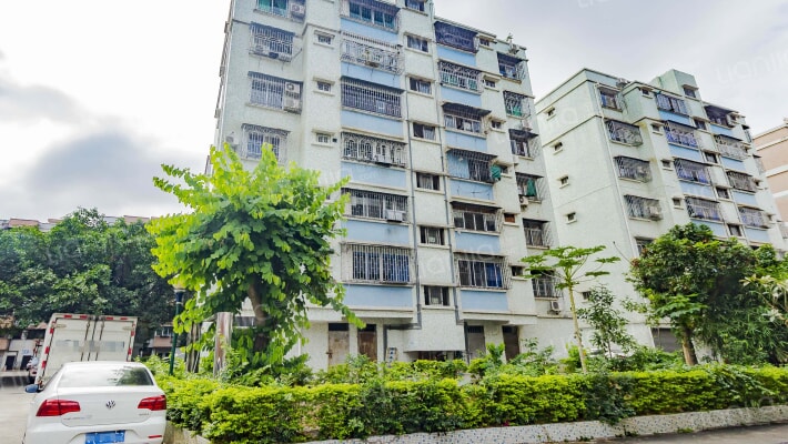 教师新村外景图