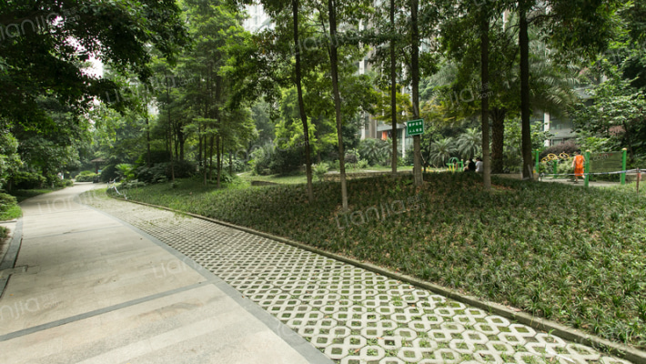 康桥品上外景图