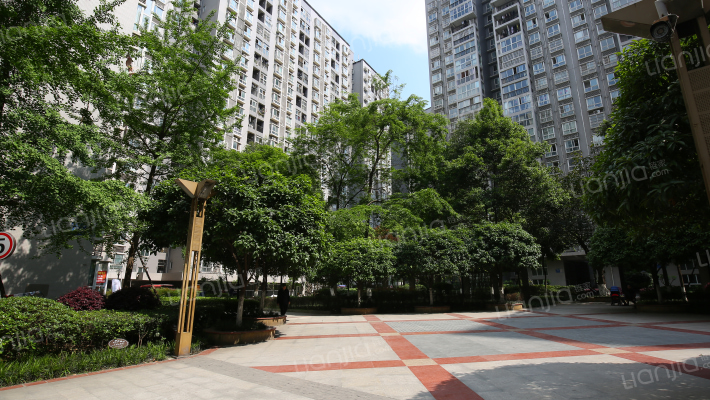 锦绣光华外景图