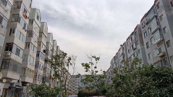 翠南隆达院外景图