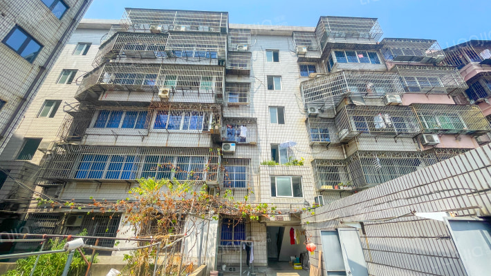 工农路39号外景图