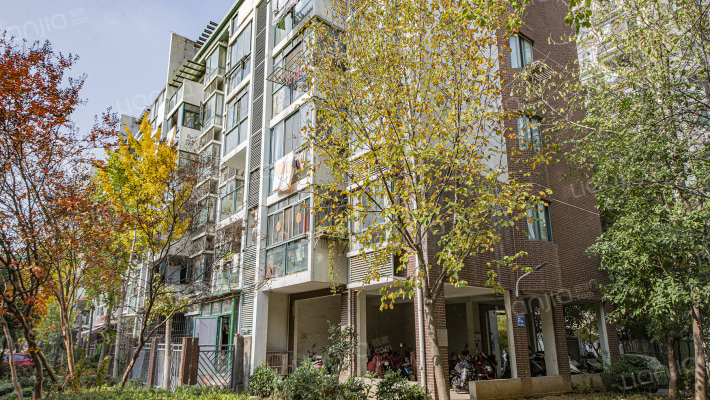 华府竹丝苑北苑外景图