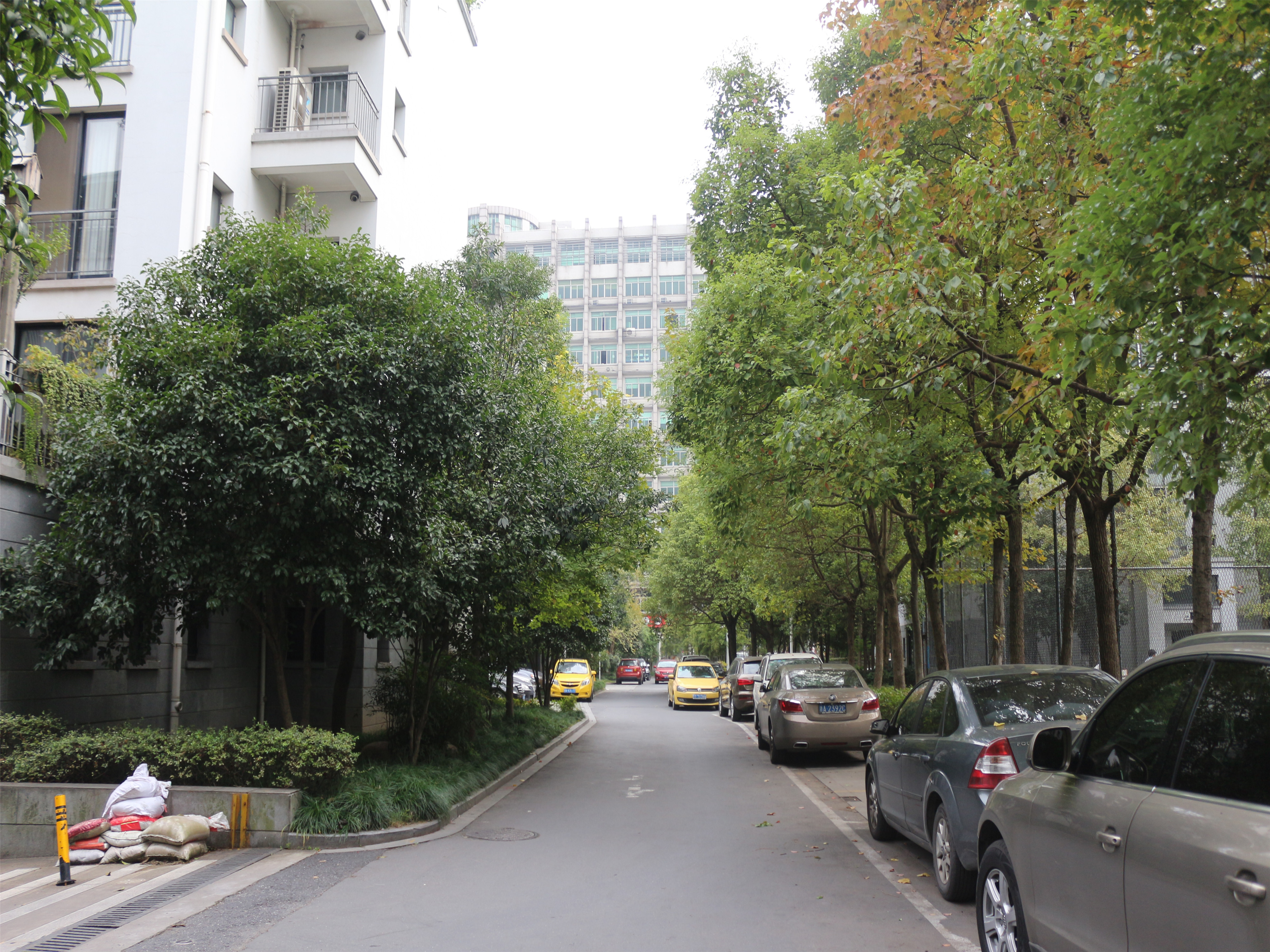 江滨花园小区实景 14