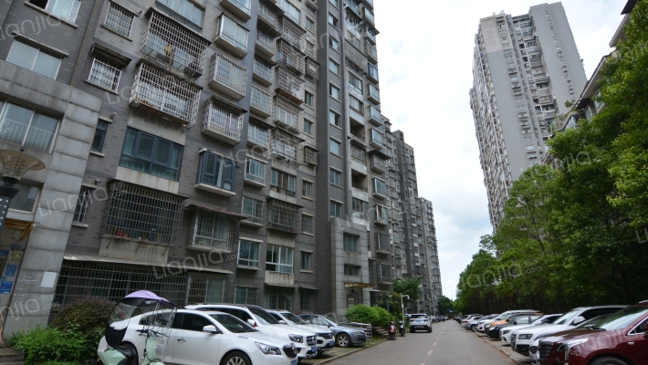 含浦家苑外景图