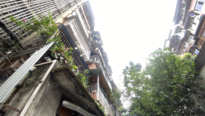 棕苑巷9号外景图