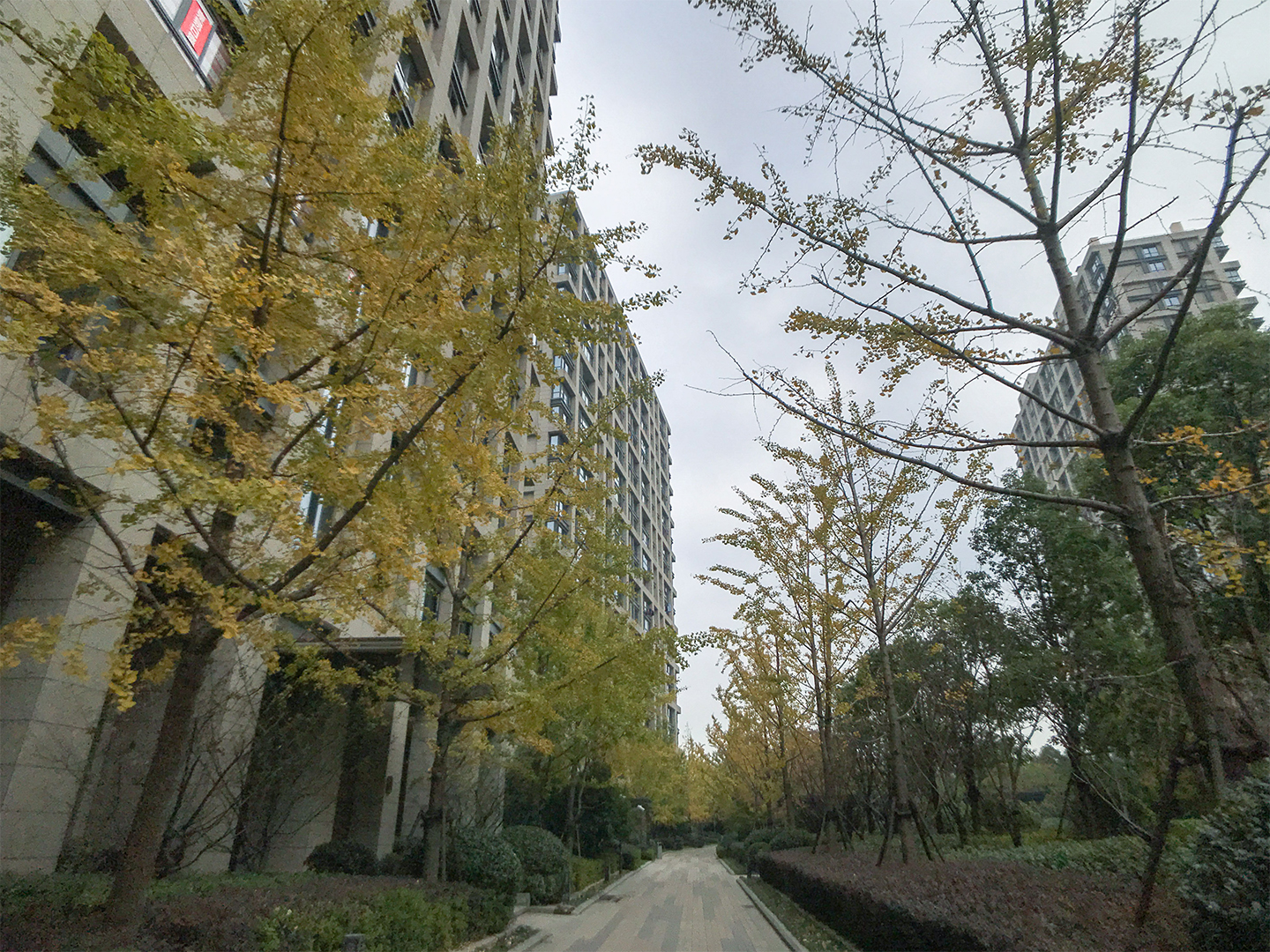 Genshan Mansion  compound photo 6
