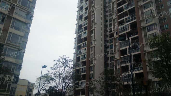 花香龙都外景图