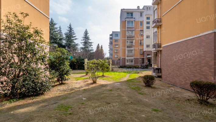 盛世春晓苑外景图