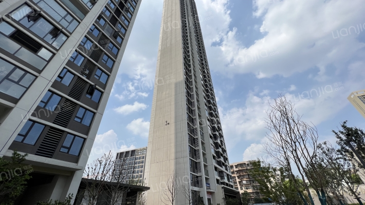 福星惠誉星誉国际外景图