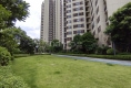 金嘉龙湖春江郦城户型图实景图