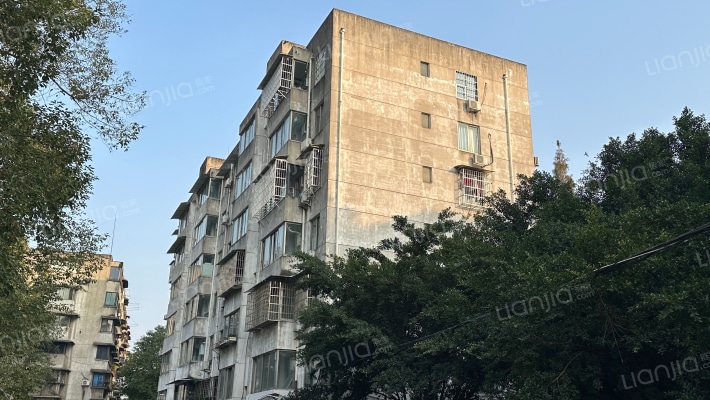 巨人树小区外景图