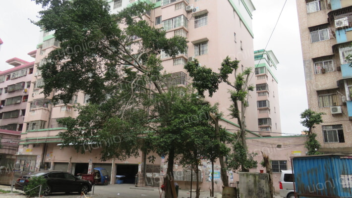 群乐苑新村外景图