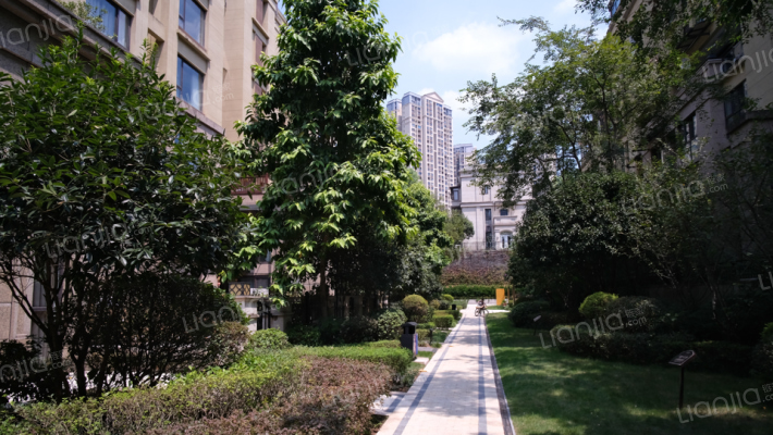 世茂茂悦府洋房外景图