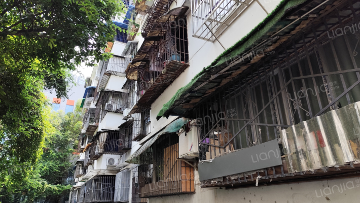 白马寺北顺街95号外景图