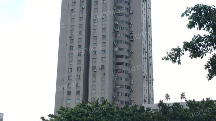 东盛大厦外景图