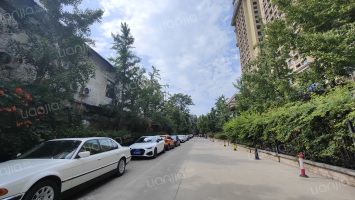 金正君庭外景图