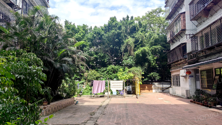 湖滨花园外景图