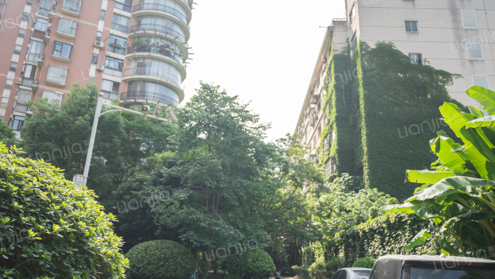 向阳门第外景图