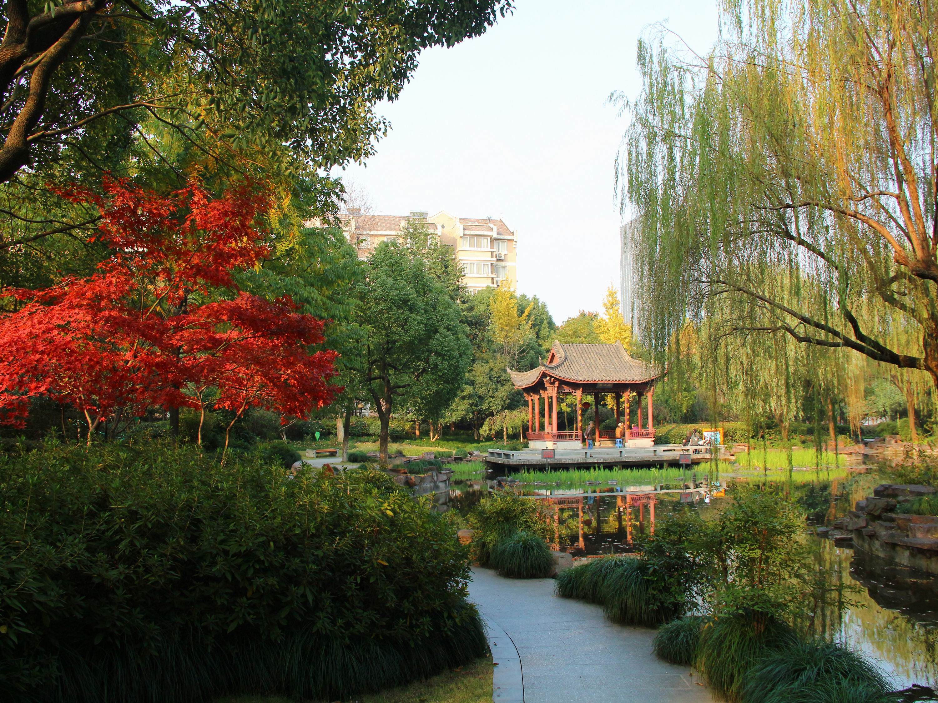 嘉绿苑南小区实景 12