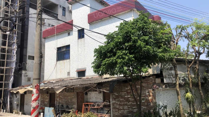 容桂单家细滘社区外景图