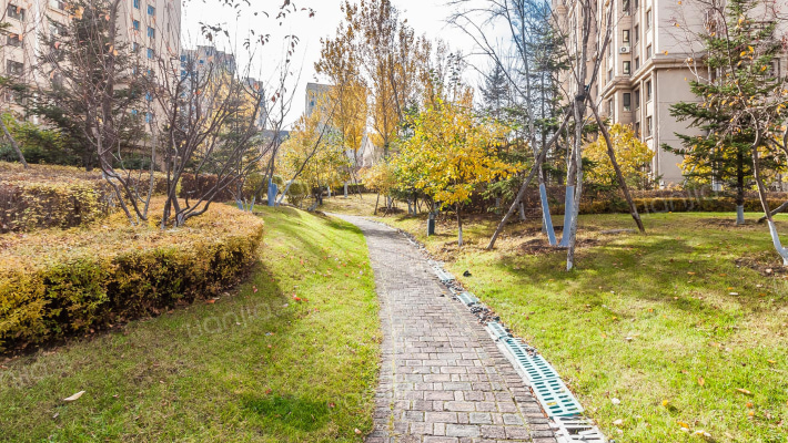 纳帕英郡外景图