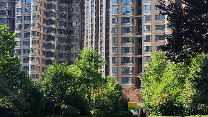 天朗蓝湖树外景图