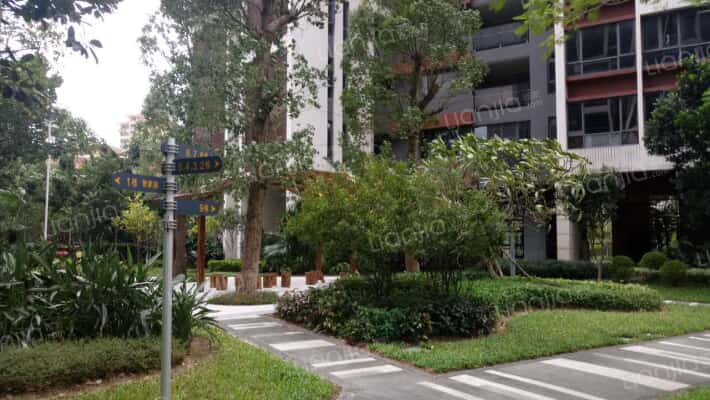 星光礼寓外景图