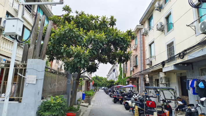 红庄新村一区外景图